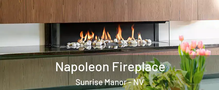 Napoleon Fireplace Sunrise Manor - NV